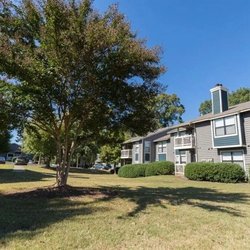 Jessica Gardens photo